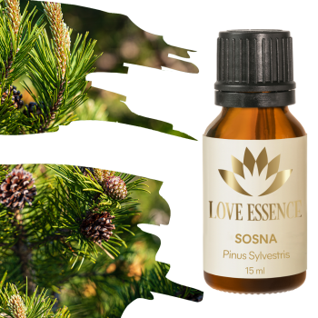 Olejek z sosny