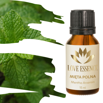 Olejek z mięty polnej