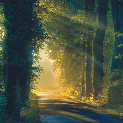 Czas w Las - jak zadbać o ochronę przed owadami i kleszczami